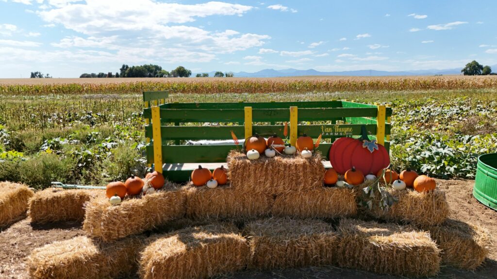 Pumpkins, straw bales, and a green wagon beside the field