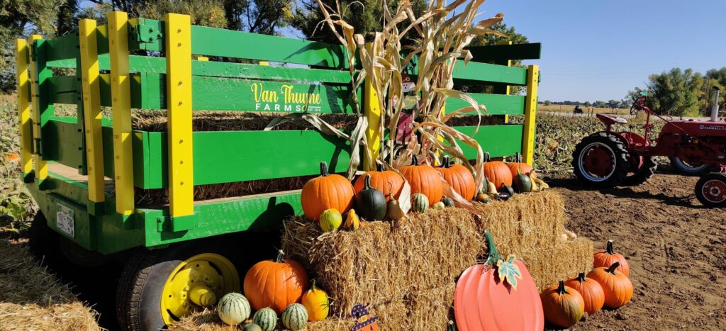 Pumpkins and cornstalks displayed with a green farm wagon