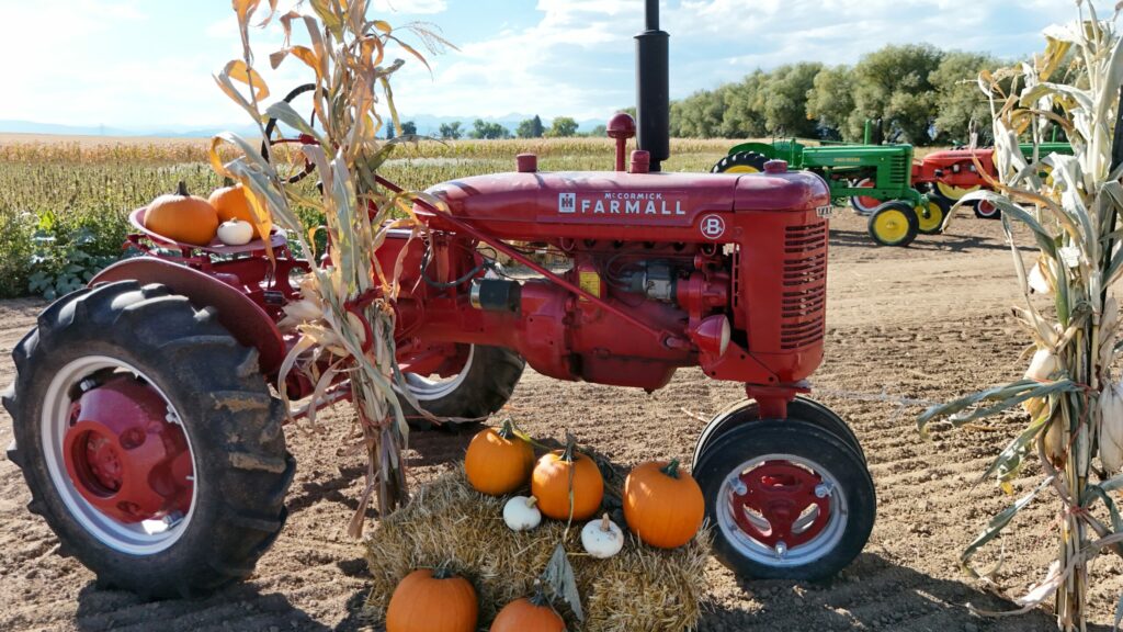A red vintage Farmall tractor decorated with pumpkins and cornstalks